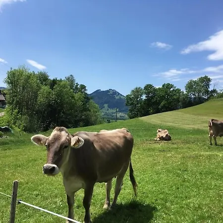 Wohnen Auf Zeit - Genuss Im Allgau